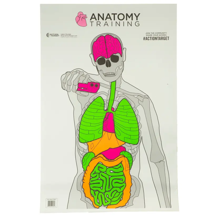 Action Target Anatomy Training Targets 23x35 Inch Multi-Color 100 Pack - 1