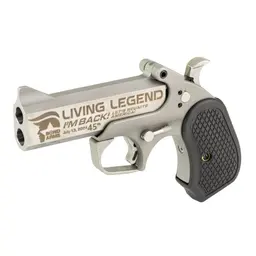 Bond Arms DT47 Derringer Handgun - 3