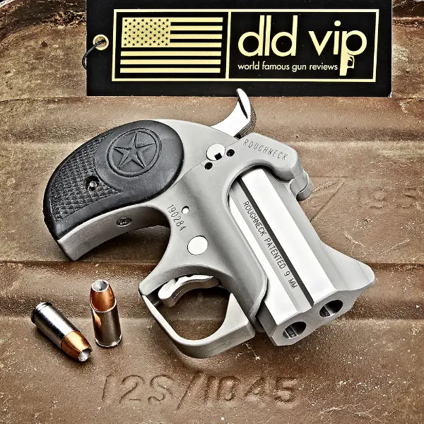 Bond Arms Roughneck 9mm 2.5" - 1