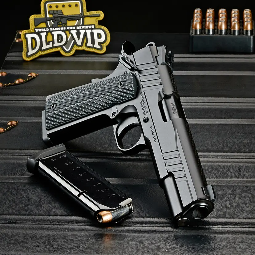Savage 1911 Government .45ACP 5" - 1