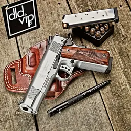 Smith & Wesson 1911 E Series .45ACP - 1