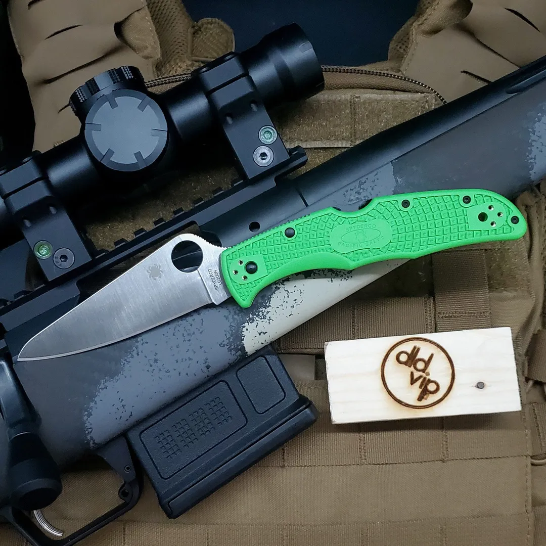 Spyderco Pacific Salt 2 Lockback Knife Green FRN LC200N