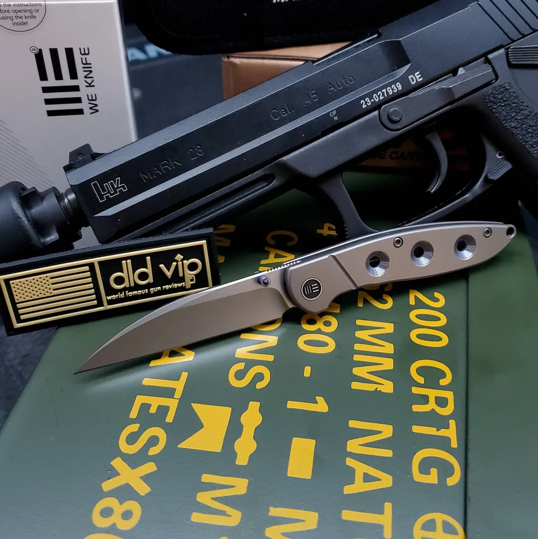 WE Knife Co. Schism Frame Lock Knife Blue Holes