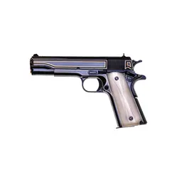 Colt 1911C Government TALO .45 ACP Webinar - 1