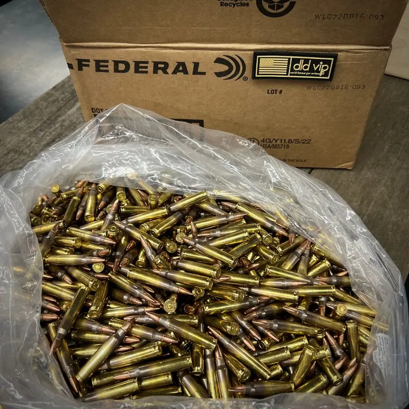 Federal American Eagle .223 Rem 55gr FMJ-BT 1000rd Case Webinar - 1