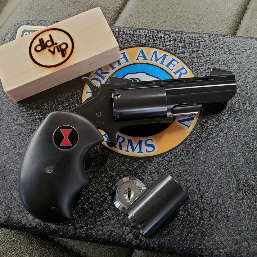 North American Arms "Black Widow" Conversion .22LR/.22WMR Cerakote Webinar - 1