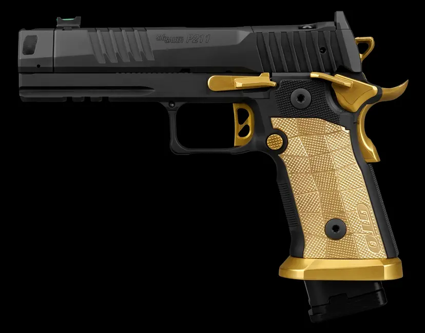 Sig Sauer P211 9mm Full-Size Webinar - 1