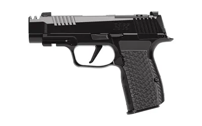 SIG Sauer P365 Luxe 380 ACP Webinar - 1