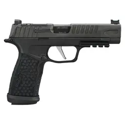 SIG Sauer P365 X-Fuse 9mm Webinar - 3