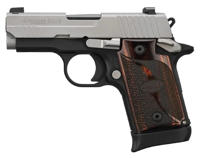 SIG Sauer P938 Two Tone 9mm Webinar - 1