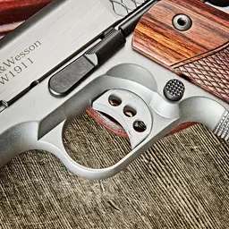 Smith & Wesson 1911 E Series .45ACP Webinar - 3