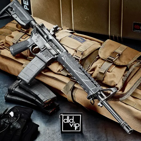 Springfield Armory Saint 5.56 16" w/ A2 Front Sight Webinar - 1